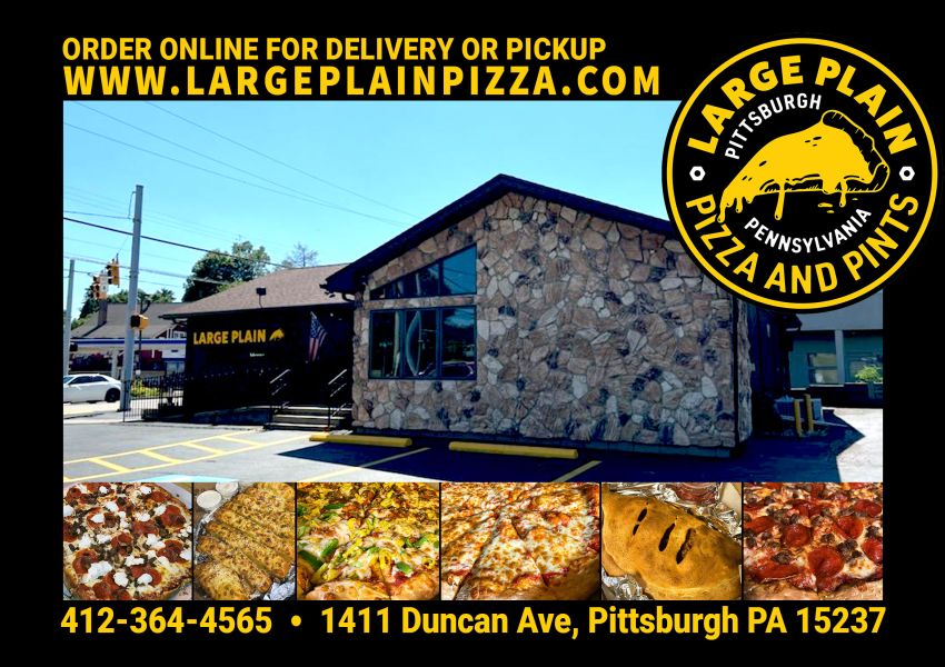 Large Plain Pizza and Pints
